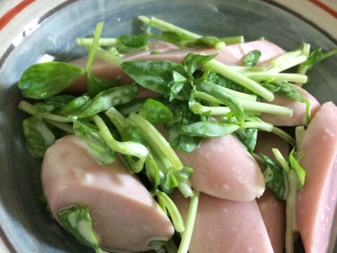 魚肉ソーセージと豆苗の簡単サラダ
